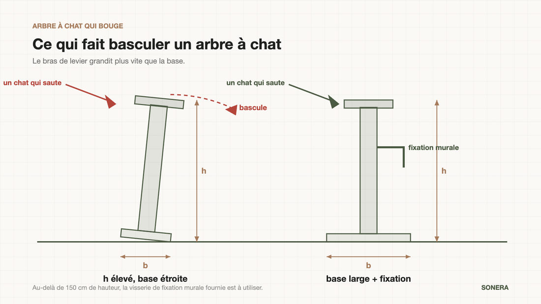 Schéma du basculement d'un arbre à chat : hauteur, largeur de base et fixation murale