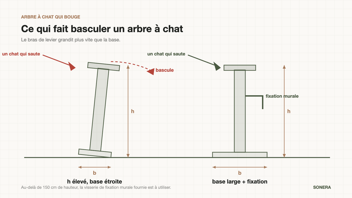 Schéma du basculement d'un arbre à chat : hauteur, largeur de base et fixation murale