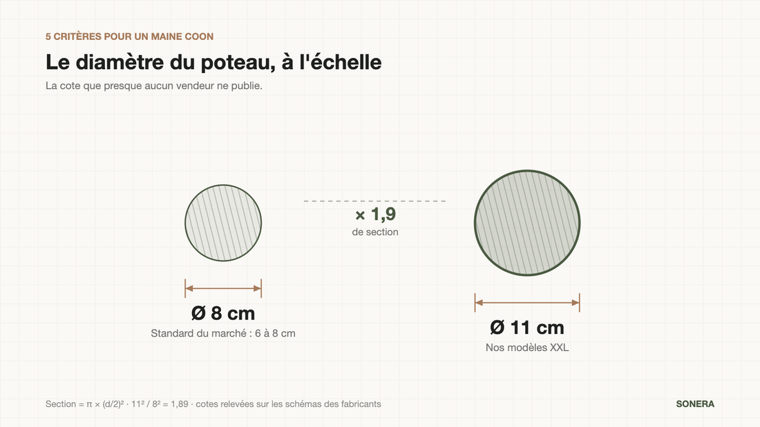 Comparaison à l'échelle d'un poteau de griffoir de 8 cm et de 11 cm de diamètre