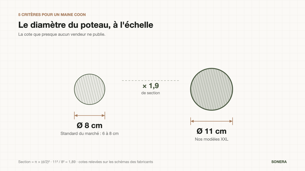 Comparaison à l'échelle d'un poteau de griffoir de 8 cm et de 11 cm de diamètre