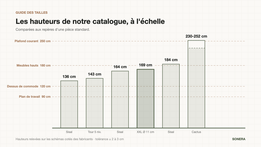Hauteurs d'arbres à chat de 136 à 252 cm comparées aux repères d'une pièce