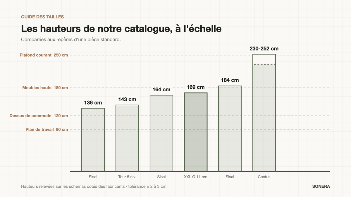 Hauteurs d'arbres à chat de 136 à 252 cm comparées aux repères d'une pièce