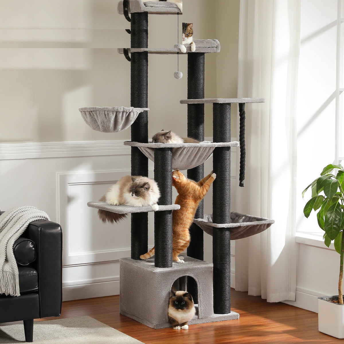 Arbre à chat XXL 169 cm en situation dans un salon, poteaux en sisal de 11 cm de diamètre