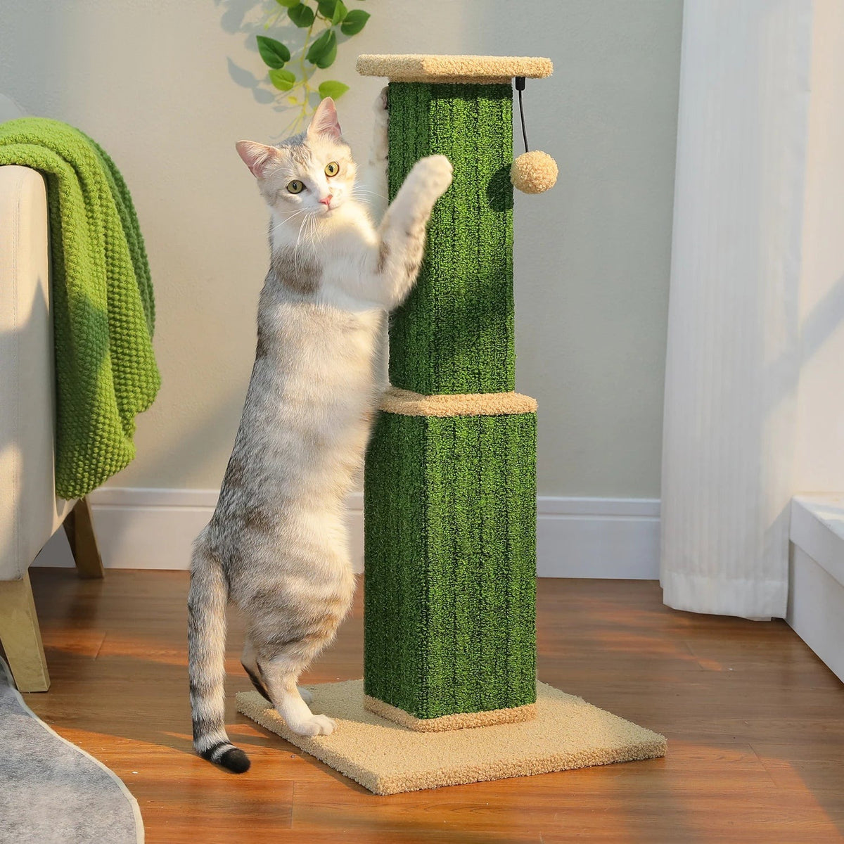 Griffoir poteau 81 cm vert cactus avec un chat qui s'étire dessus